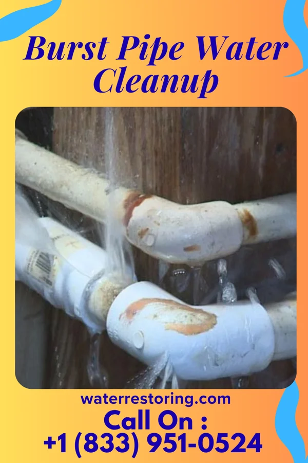 Burst Pipe Water Cleanup in Maharishi Vedic City, IA
