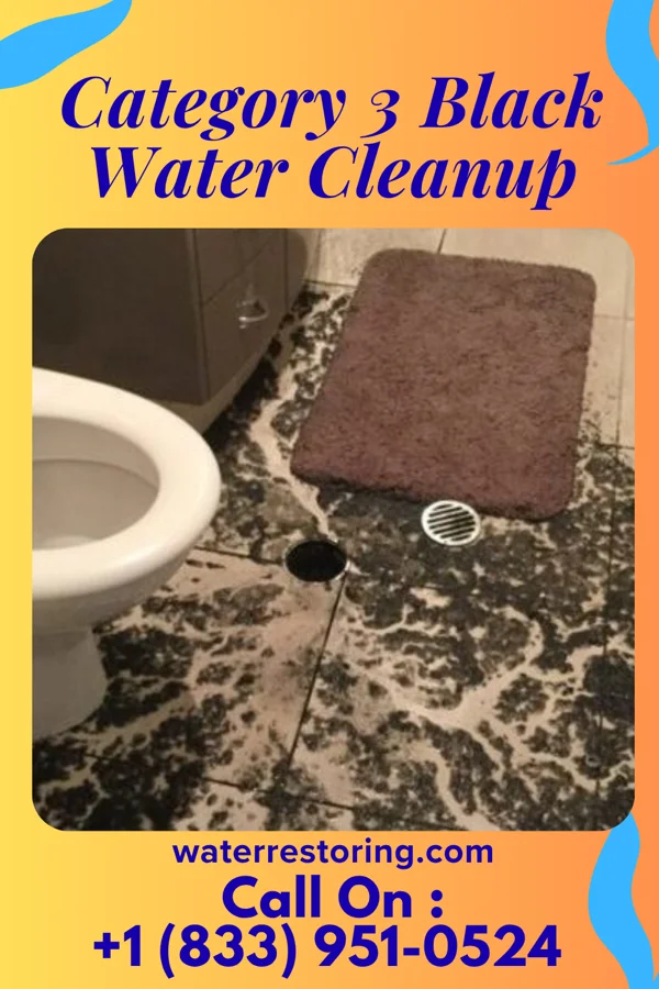 Category 3 Black Water Cleanup in Maharishi Vedic City, IA